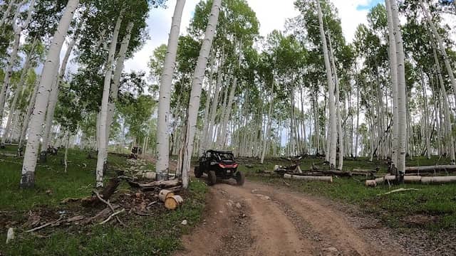 Arapeen OHV Trailhead - Image 1