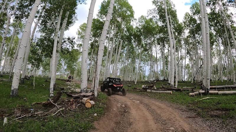 Arapeen OHV Trailhead - Image 1