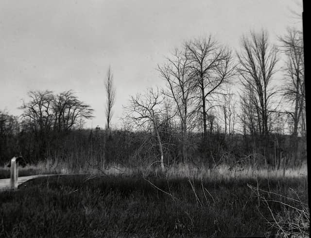 Moosewood Nature Center - Image 2