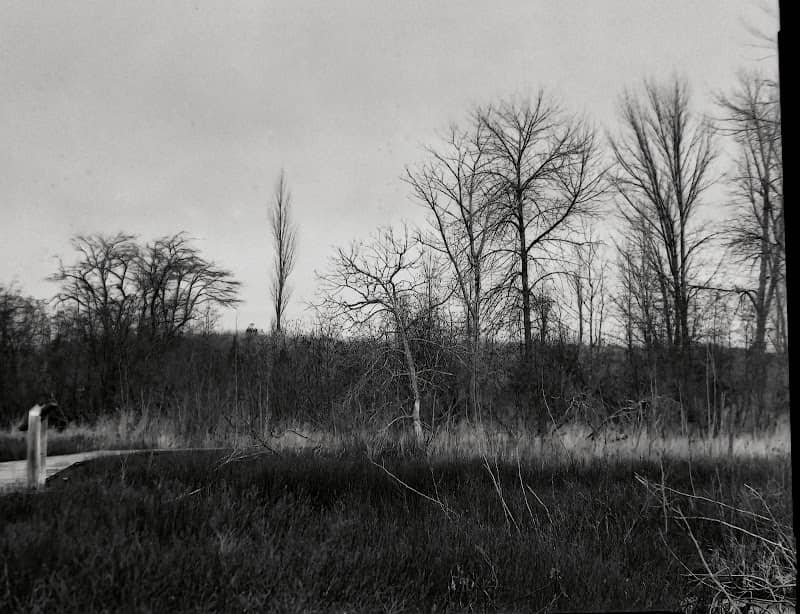 Moosewood Nature Center - Image 2