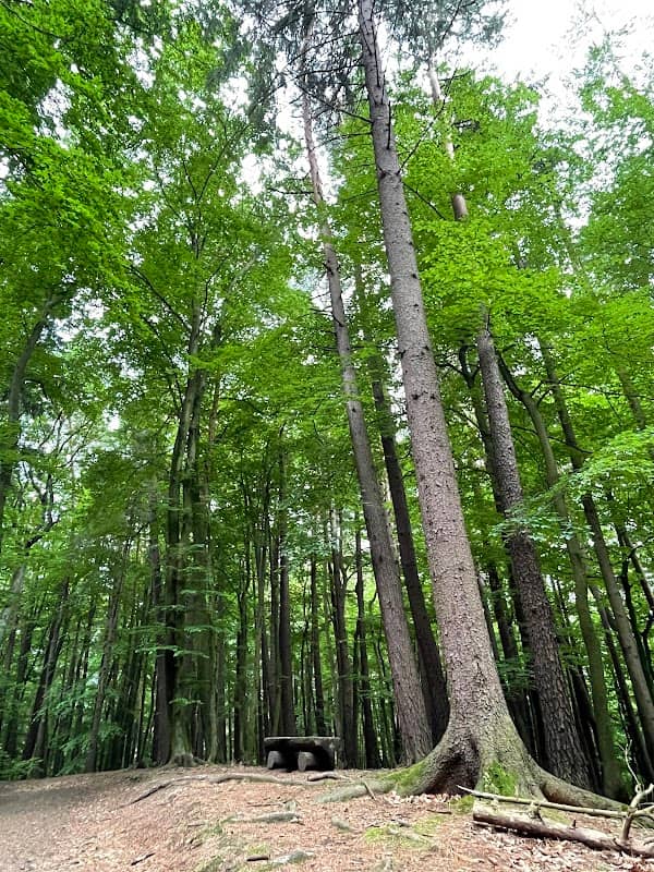 Ławka Kopary - Image 1
