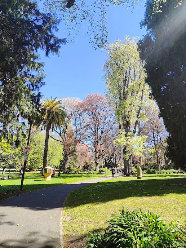 St. David's Park - Image 2