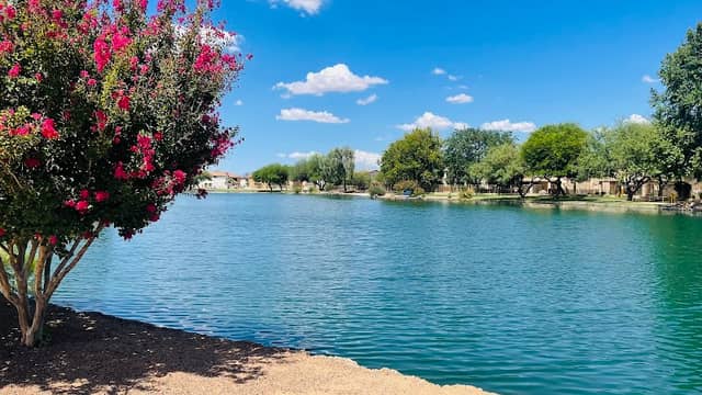 Sahuarita Lake Park - Town of Sahuarita - Image 1