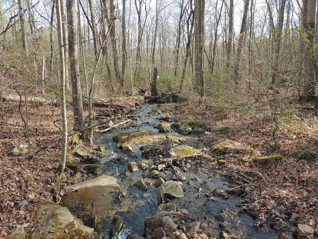 Seven Bridges Trailhead - Image 2