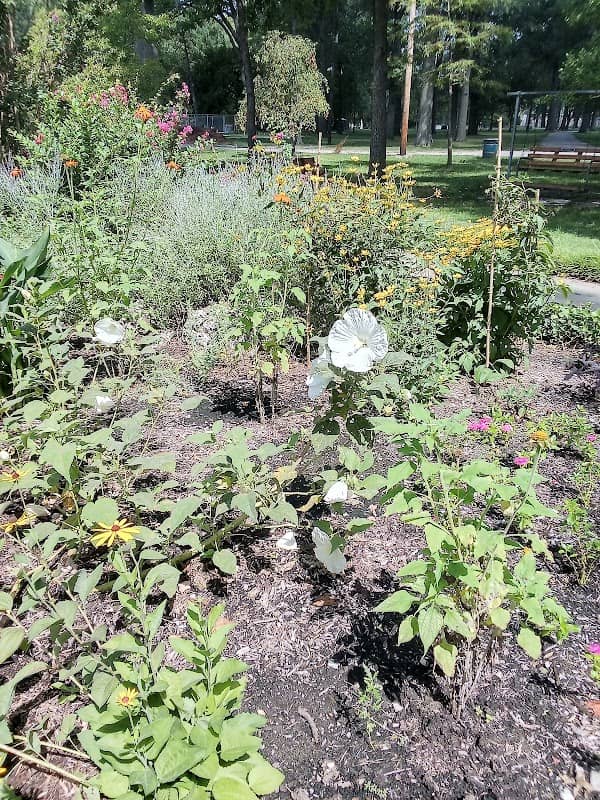 Wilson Park Memorial Gardens - Image 2