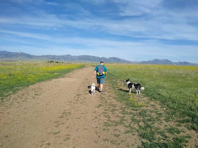Westminster Hills Open Space Off-Leash Area - Image 2