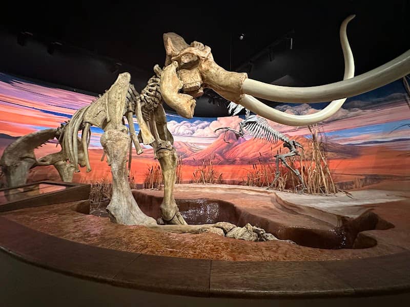 Nevada State Museum, Carson City - Image 2