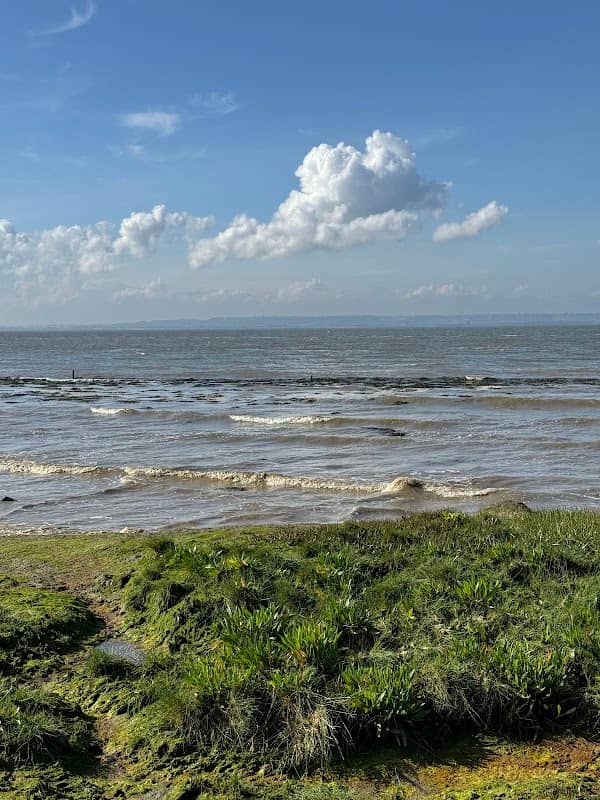 Dagnam Saltings - Image 2