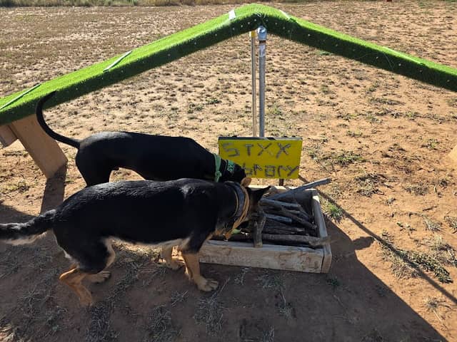 DJ2 Private Dog Park - Image 1