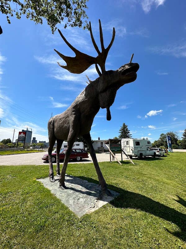 Max the Moose - Image 1