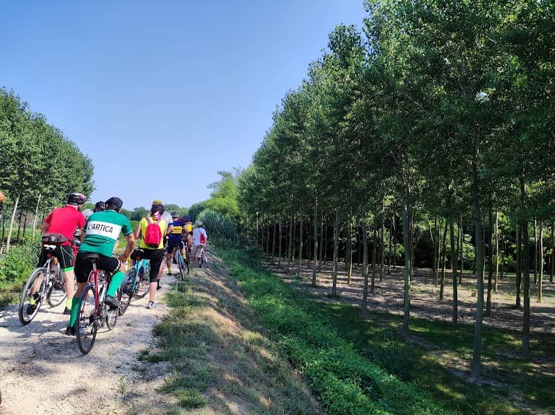 Latisana parco - Image 1