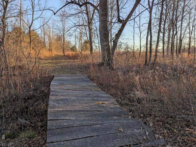 Strawberry Fields Nature Preserve - Image 1