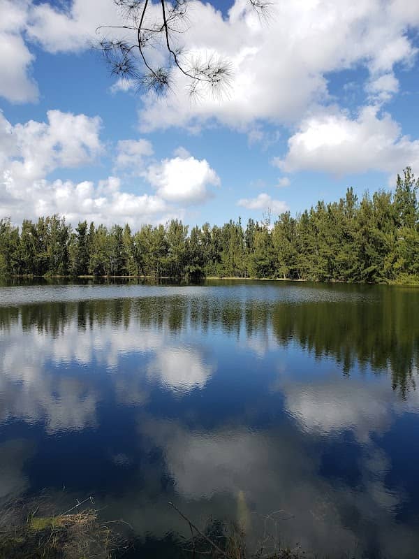 Silver Lakes Rotary Nature Park - Image 2