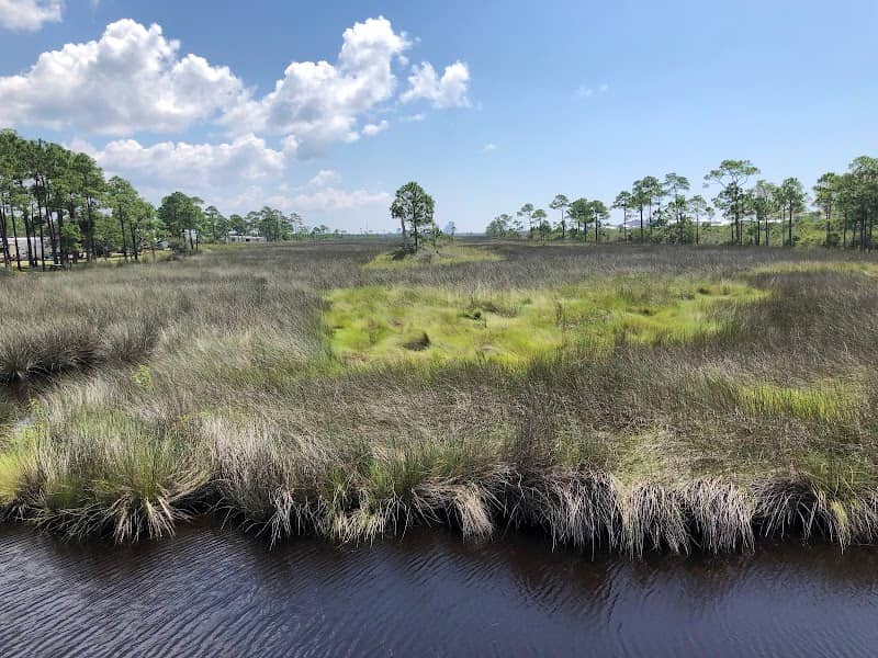 Wade Ward Nature Park - Image 1