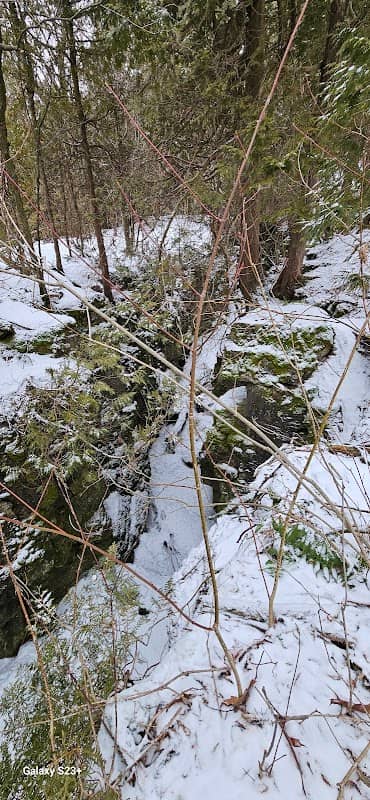 Skeoch Nature Preserve - Image 1