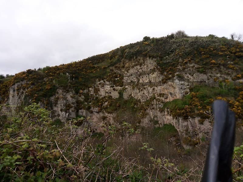 Scrabo Country Park Quarry Walk - Image 2