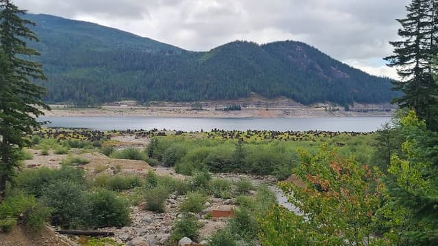 Lake Keechelus Trailhead - Image 2