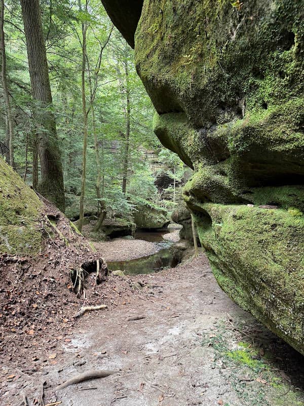 Dismals Canyon - Image 3
