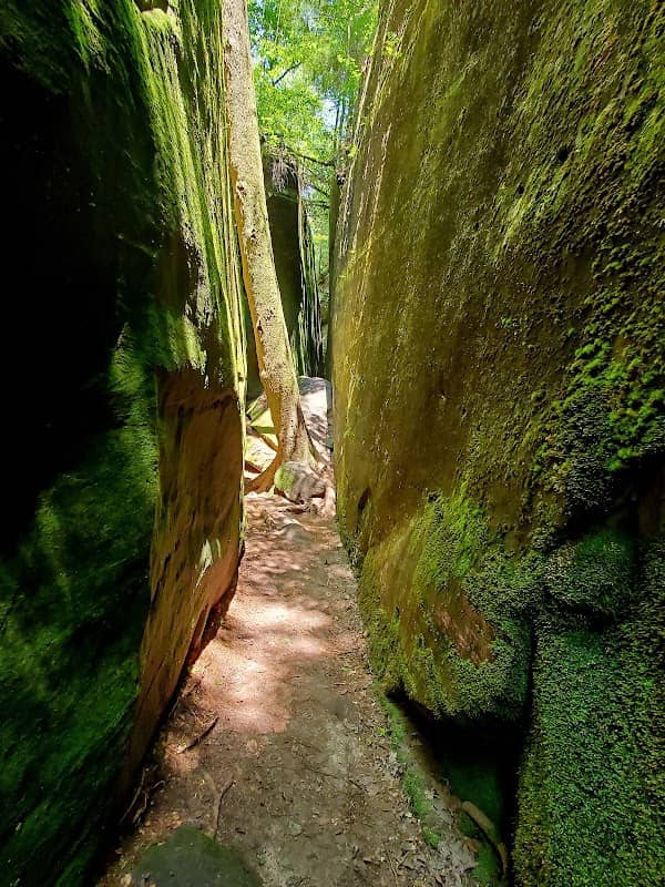 Dismals Canyon - Image 2
