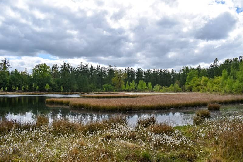Boswachterij Gieten Borger - Image 1