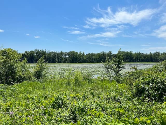 Springvale County Park - Image 2