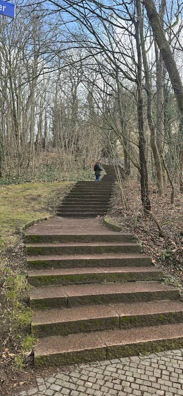 Saale Treppe - Image 2