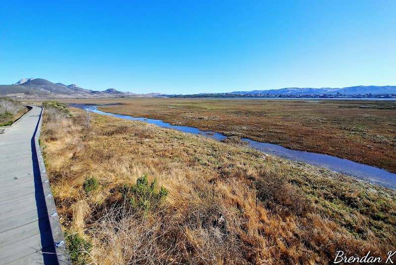 Morro Bay State Park Boardwalk - Image 2