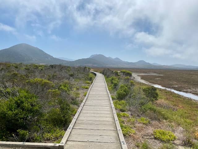 Morro Bay State Park Boardwalk - Image 3