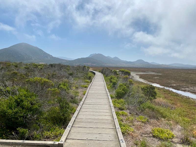 Morro Bay State Park Boardwalk - Image 3