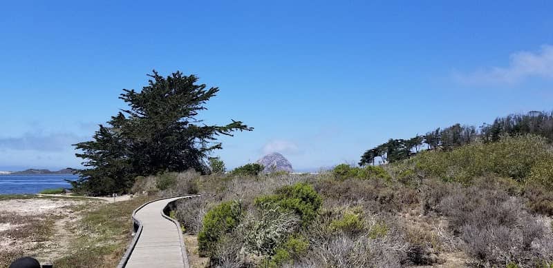 Morro Bay State Park Boardwalk - Image 1