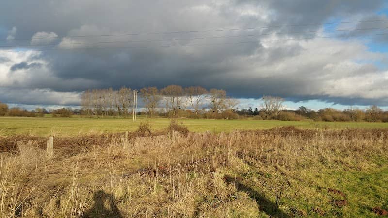 Herefordshire Wildlife Trust - Image 1