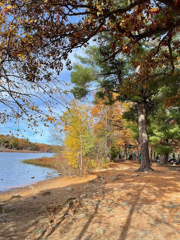 Auburndale Cove - Image 1