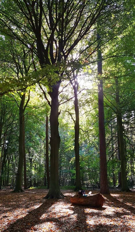 Thorndon Countryside Centre - Image 2