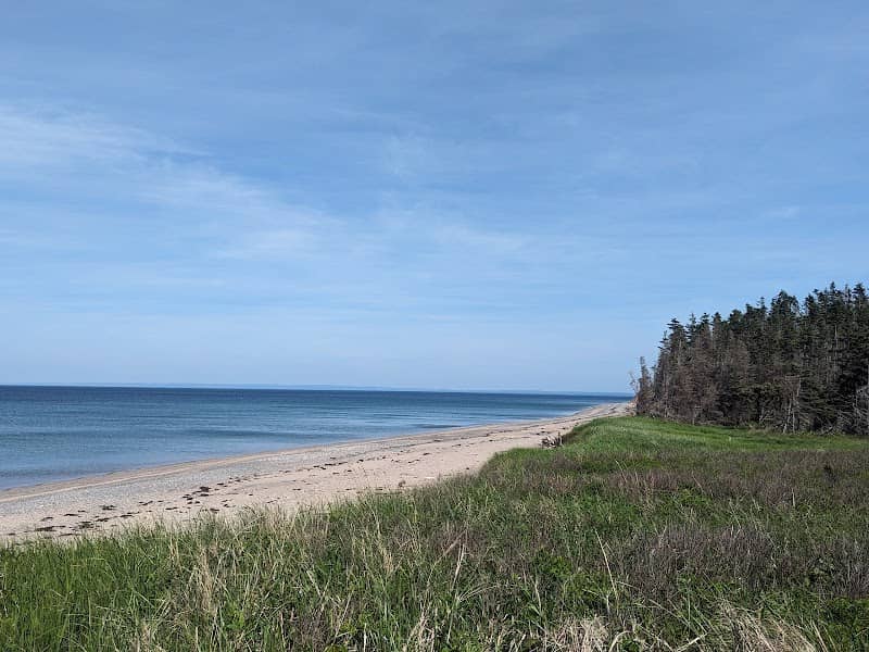 Boy Scout Beach - Image 1