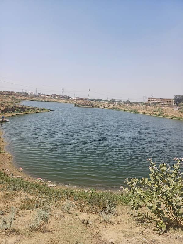 Sherawali pond - Image 1