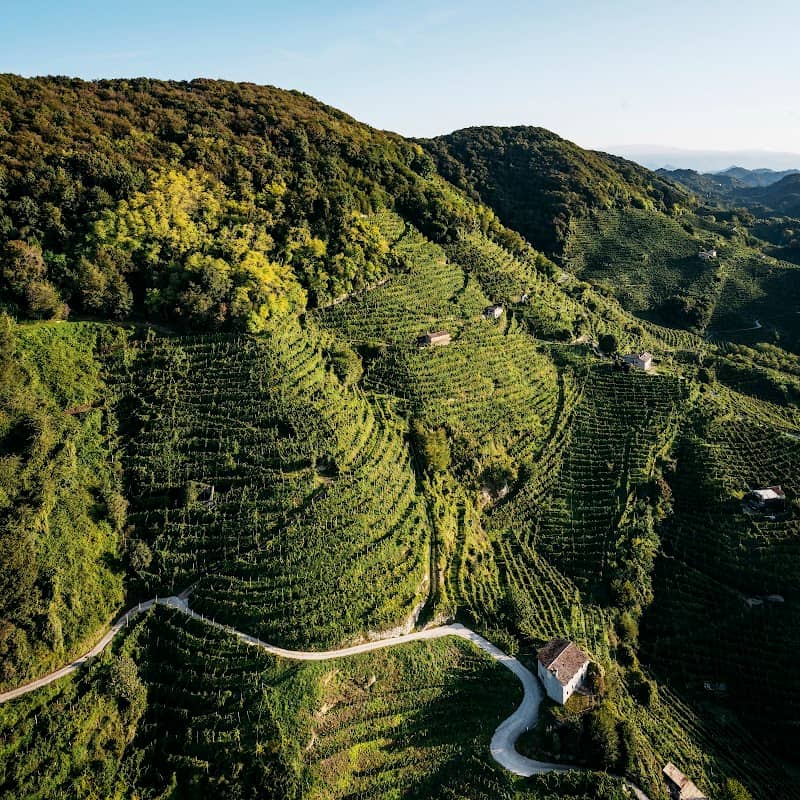 Paesaggio rurale storico: Le Colline di Conegliano Valdobbiadene - Paesaggio del Prosecco Superiore - Image 1