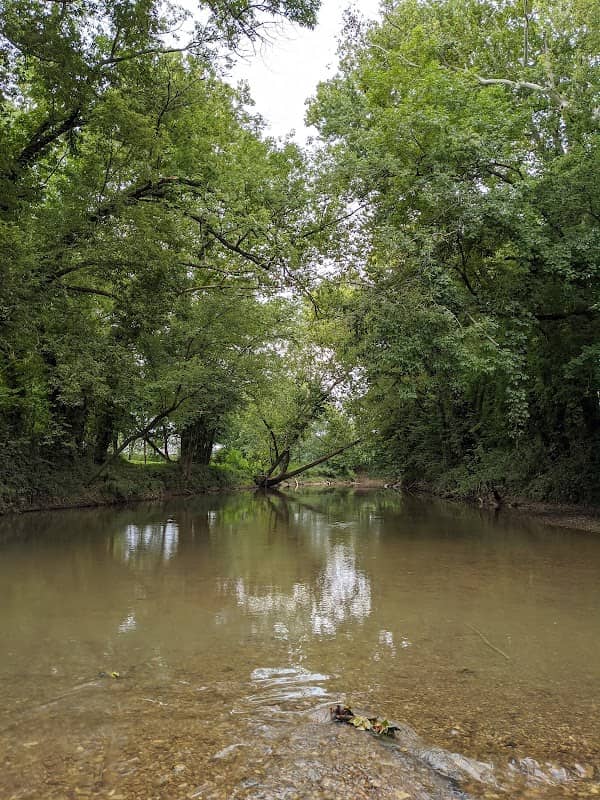 Romanza Johnson Park - Image 2