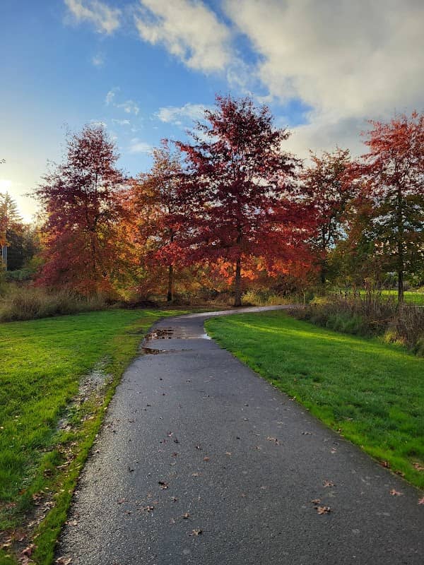 Magnolia Meadows Park - Image 2