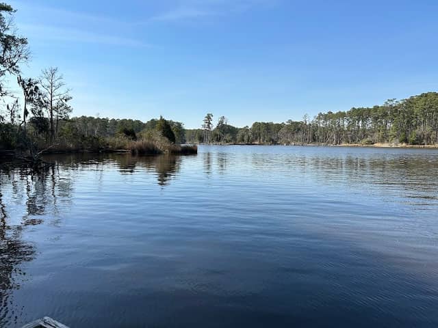Goose Creek State Park - Image 3