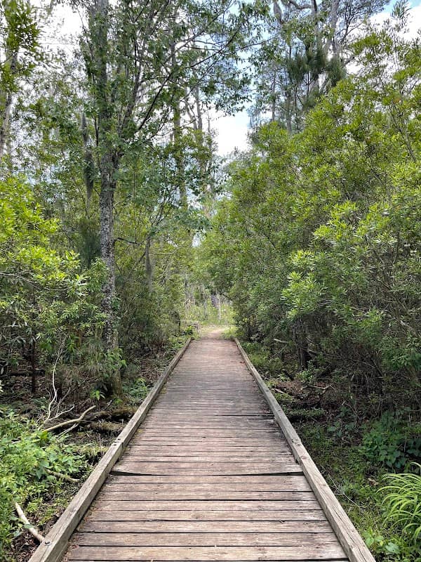 Goose Creek State Park - Image 1
