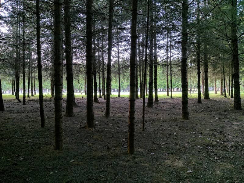 Doleshel Park - Image 2