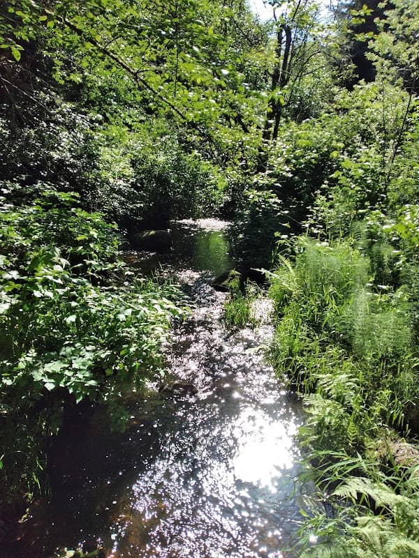 Doleshel Park - Image 1