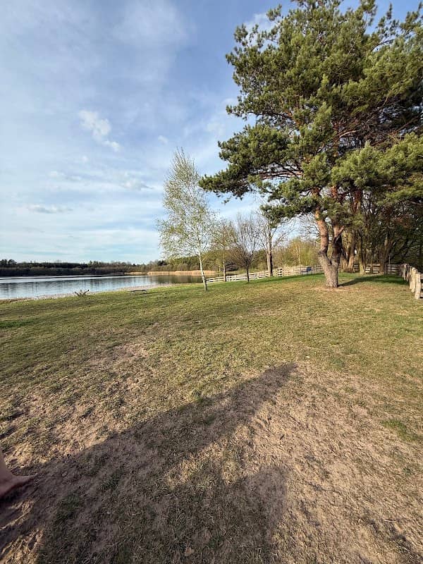 Hundestrand Kiebitzsee - Image 1