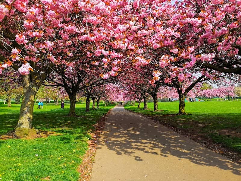 Dawson Park - Image 1