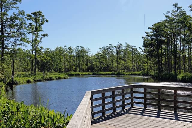 Cypress Cove Park - Image 1
