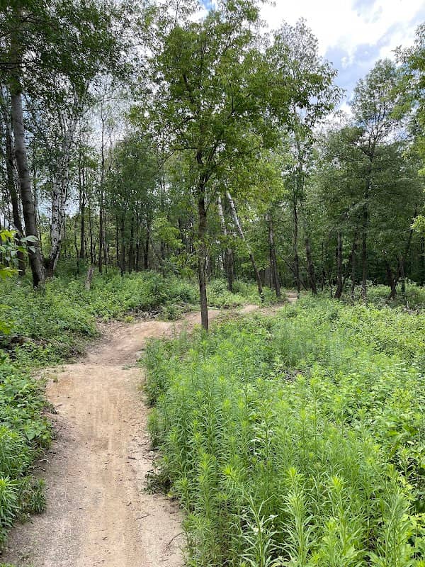 Sunfish Lake Park - Image 2