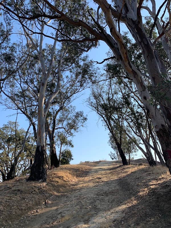 Acalanes Ridge Open Space Acalanes South Trail - Image 1