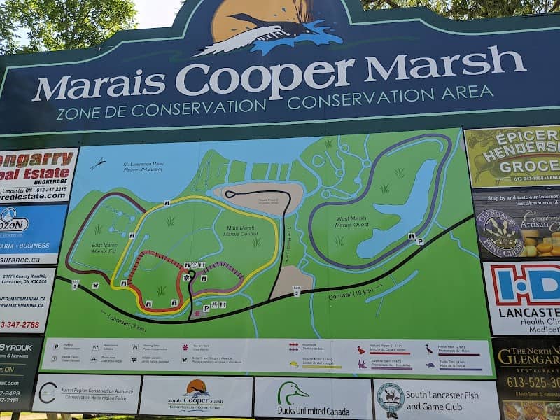 Cooper Marsh Conservation Area - Image 1