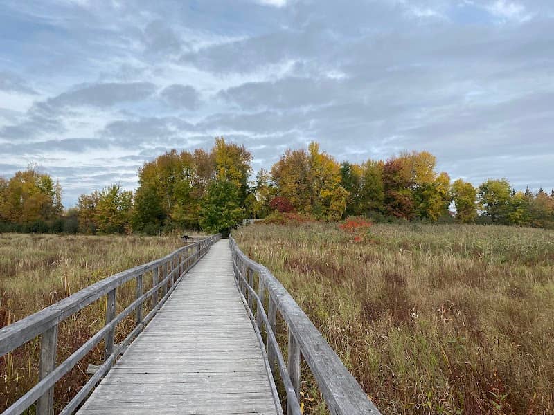Cooper Marsh Conservation Area - Image 2