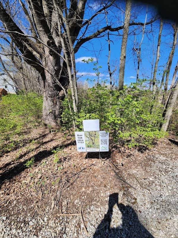 Midland Trace Trail - Image 2